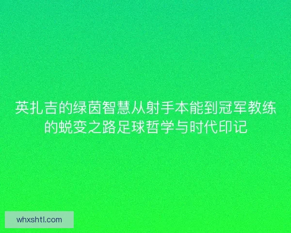 英扎吉的绿茵智慧从射手本能到冠军教练的蜕变之路足球哲学与时代印记