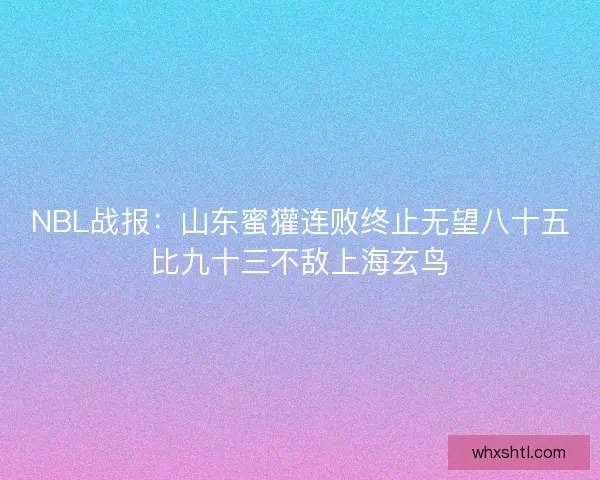 NBL战报：山东蜜獾连败终止无望八十五比九十三不敌上海玄鸟