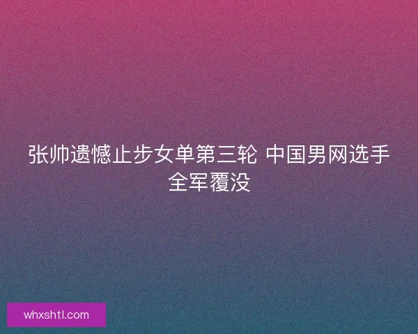 张帅遗憾止步女单第三轮 中国男网选手全军覆没