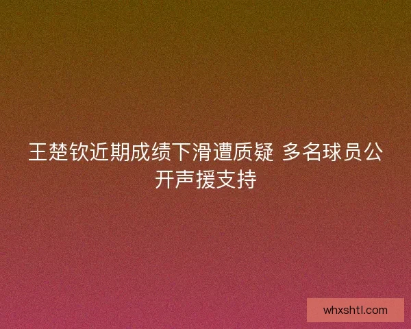 王楚钦近期成绩下滑遭质疑 多名球员公开声援支持